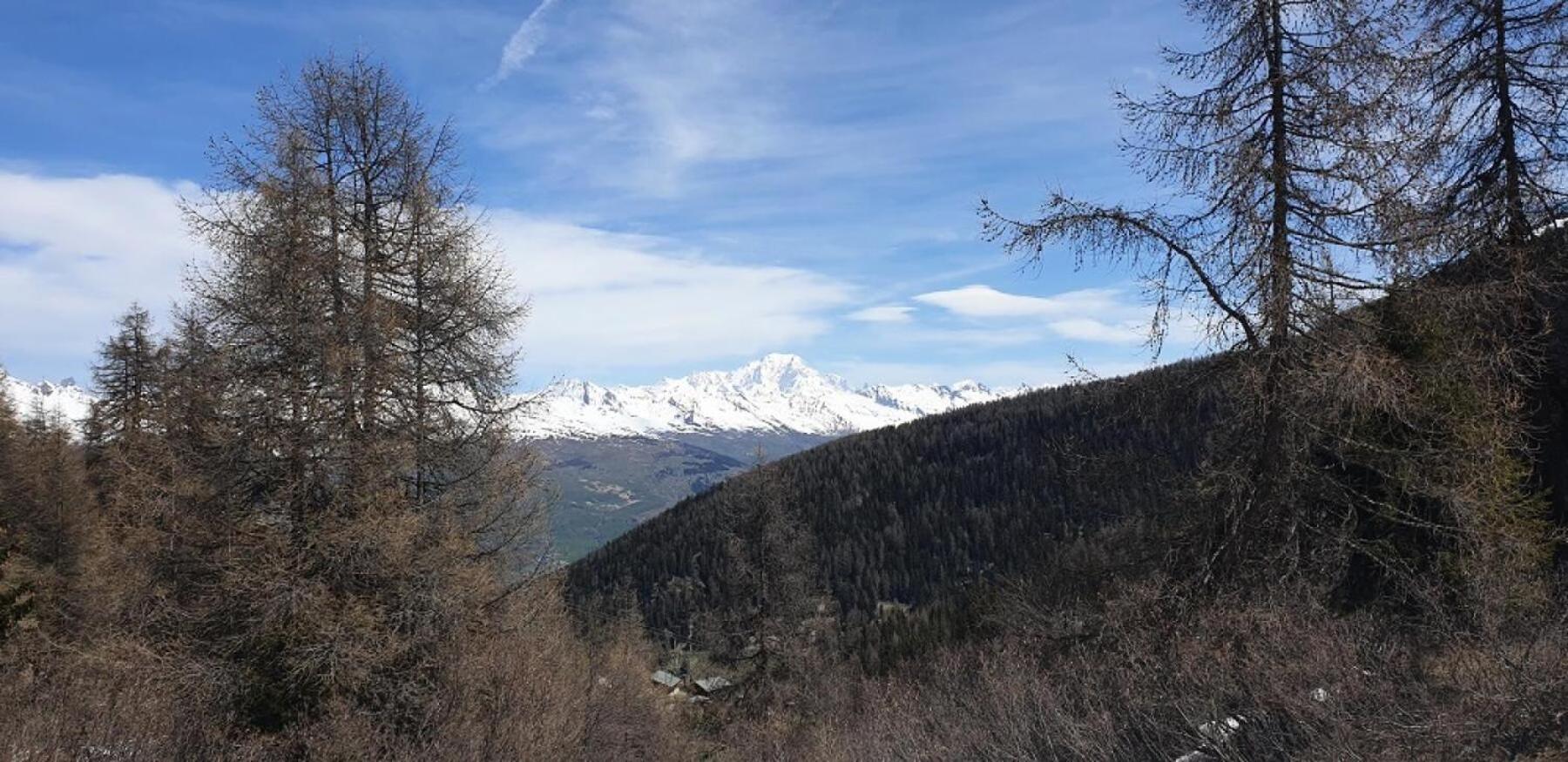 Residence Plagne Lauze - Maeva Home - Appartement 2 Pieces 5 Personnes - Confort Mae-9202 Macot-la-Plagne Exterior photo